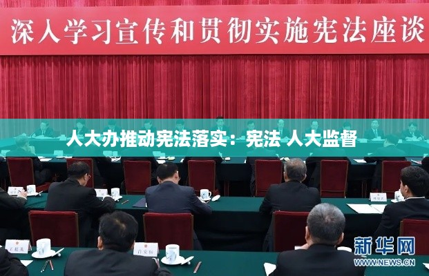人大办推动宪法落实：宪法 人大监督 