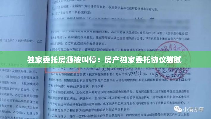 独家委托房源被叫停：房产独家委托协议猫腻 
