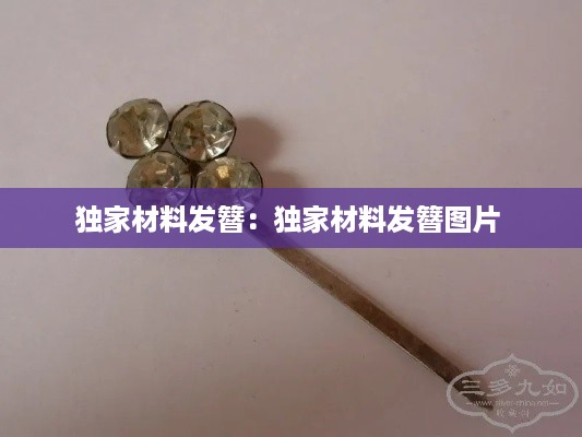 独家材料发簪：独家材料发簪图片 