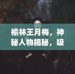 榆林王月梅，神秘人物揭秘，吸引眼球的传奇故事！