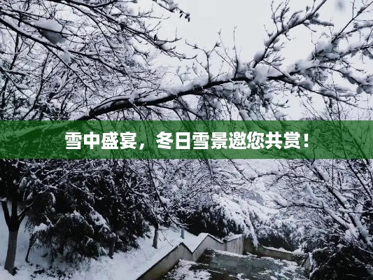 雪中盛宴，冬日雪景邀您共赏！