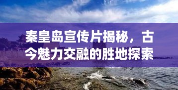 七贵三公 第2页
