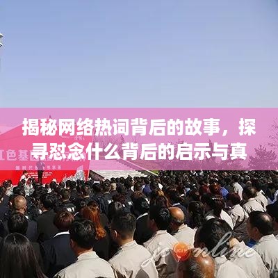 揭秘网络热词背后的故事，探寻怼念什么背后的启示与真相