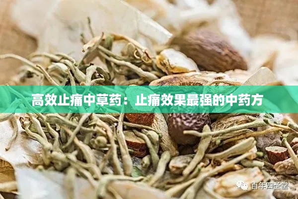 高效止痛中草药：止痛效果最强的中药方 