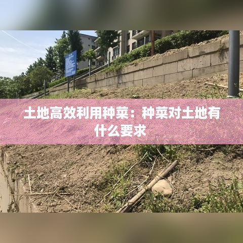 土地高效利用种菜：种菜对土地有什么要求 