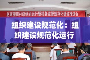 组织建设规范化：组织建设规范化运行 