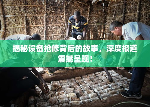 还朴反古 第3页
