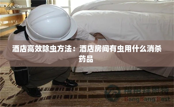 酒店高效除虫方法：酒店房间有虫用什么消杀药品 