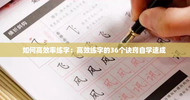 如何高效率练字：高效练字的36个诀窍自学速成 
