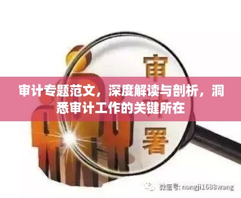 审计专题范文，深度解读与剖析，洞悉审计工作的关键所在