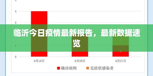 临沂今日疫情最新报告，最新数据速览