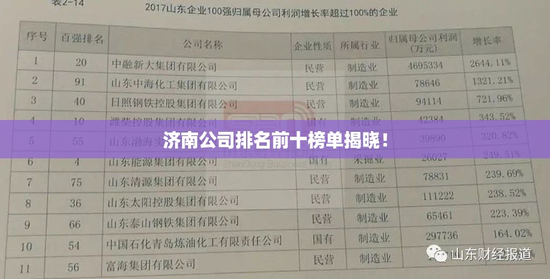济南公司排名前十榜单揭晓！