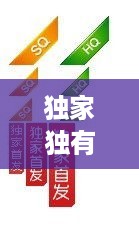 独家独有什么意思：独家所有 