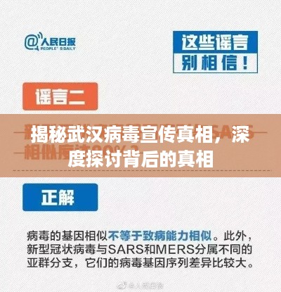 揭秘武汉病毒宣传真相，深度探讨背后的真相