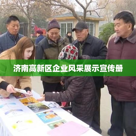 济南高新区企业风采展示宣传册