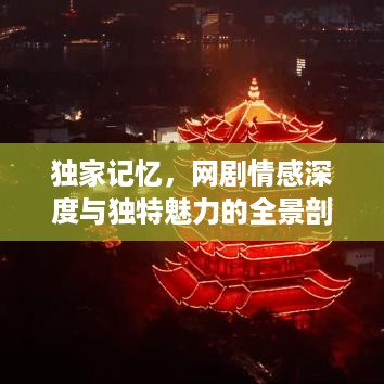 独家记忆，网剧情感深度与独特魅力的全景剖析——透过截图感受剧情魅力