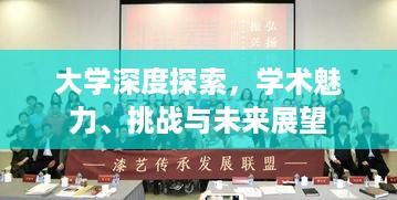 大学深度探索，学术魅力、挑战与未来展望