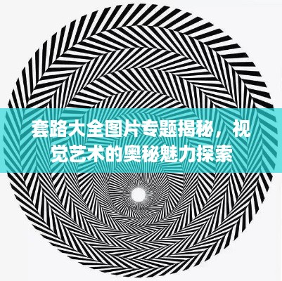 套路大全图片专题揭秘，视觉艺术的奥秘魅力探索