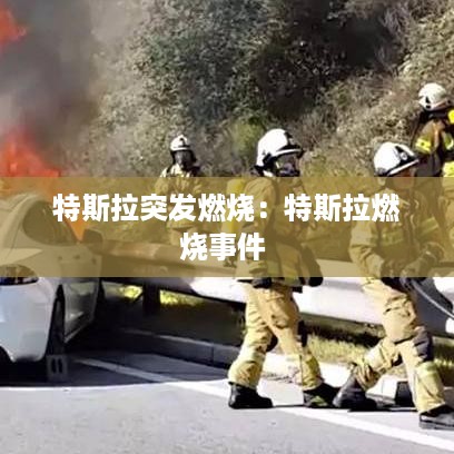 特斯拉突发燃烧：特斯拉燃烧事件 