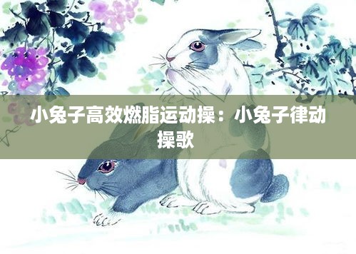 小兔子高效燃脂运动操：小兔子律动操歌 