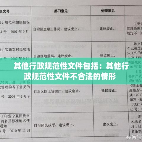 其他行政规范性文件包括：其他行政规范性文件不合法的情形 