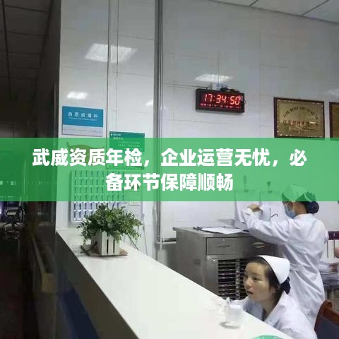 武威资质年检，企业运营无忧，必备环节保障顺畅