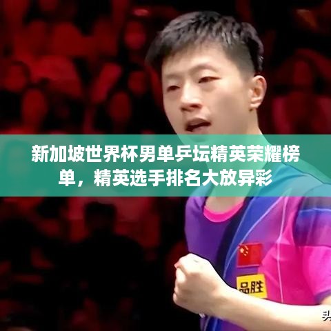 新加坡世界杯男单乒坛精英荣耀榜单，精英选手排名大放异彩