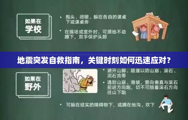 地震突发自救指南，关键时刻如何迅速应对？