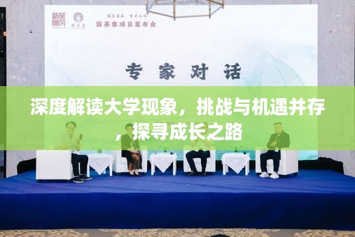 深度解读大学现象，挑战与机遇并存，探寻成长之路
