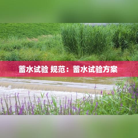 蓄水试验 规范：蓄水试验方案 