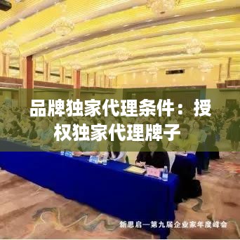 品牌独家代理条件：授权独家代理牌子 