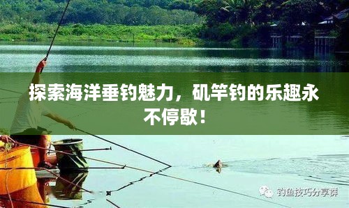 探索海洋垂钓魅力，矶竿钓的乐趣永不停歇！