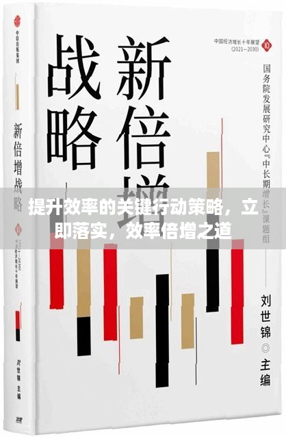 提升效率的关键行动策略，立即落实，效率倍增之道