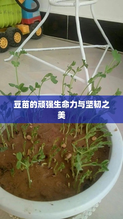 毛手毛脚 第2页