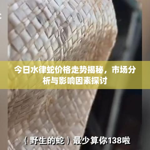 对答如流 第2页