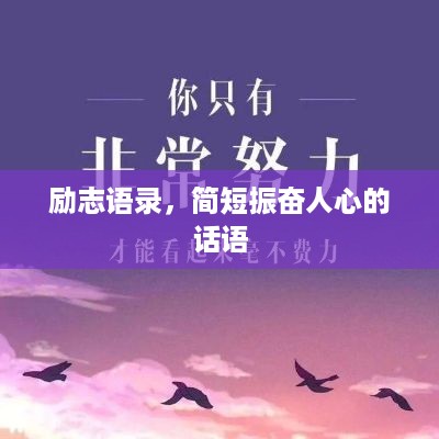 鸡飞狗跳 第2页
