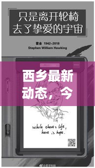 西乡最新动态，今日新闻头条抢先看