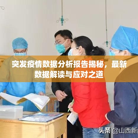 突发疫情数据分析报告揭秘，最新数据解读与应对之道