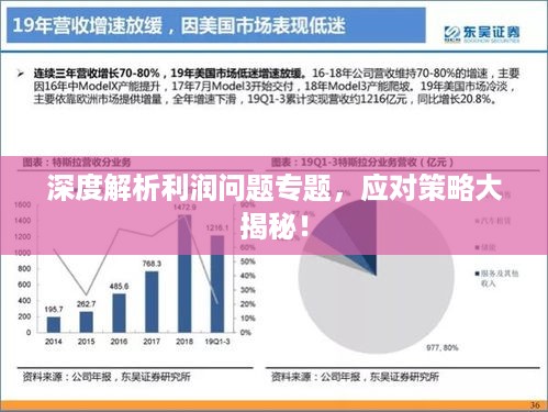深度解析利润问题专题，应对策略大揭秘！