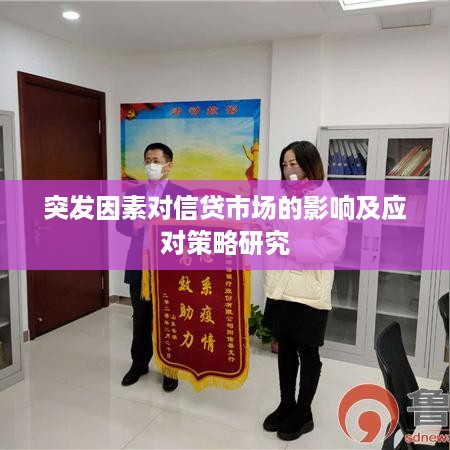 突发因素对信贷市场的影响及应对策略研究