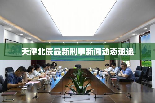 天津北辰最新刑事新闻动态速递