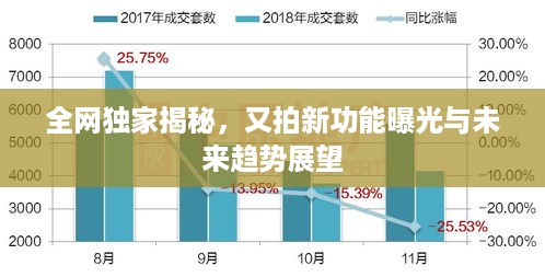 全网独家揭秘，又拍新功能曝光与未来趋势展望