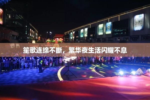 笙歌连绵不断，繁华夜生活闪耀不息