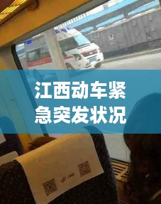公证管理 第141页