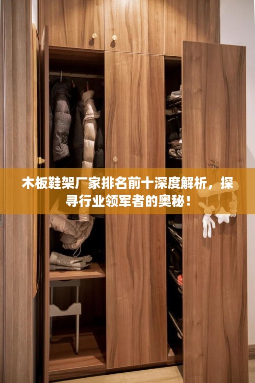 木板鞋架厂家排名前十深度解析，探寻行业领军者的奥秘！