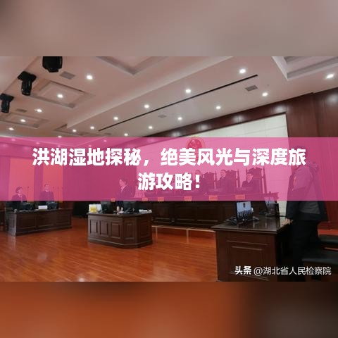 洪湖湿地探秘，绝美风光与深度旅游攻略！