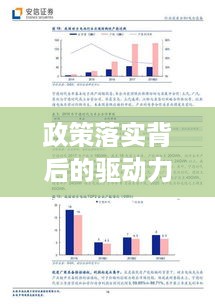 政策落实背后的驱动力解析，原因深度剖析