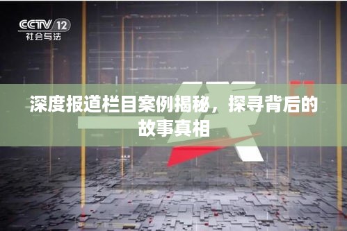 深度报道栏目案例揭秘，探寻背后的故事真相