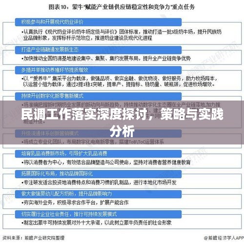 民调工作落实深度探讨，策略与实践分析