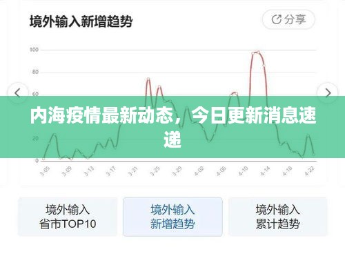 内海疫情最新动态，今日更新消息速递